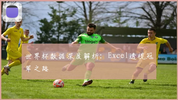 世界杯数据深度解析:Excel透视冠军之路