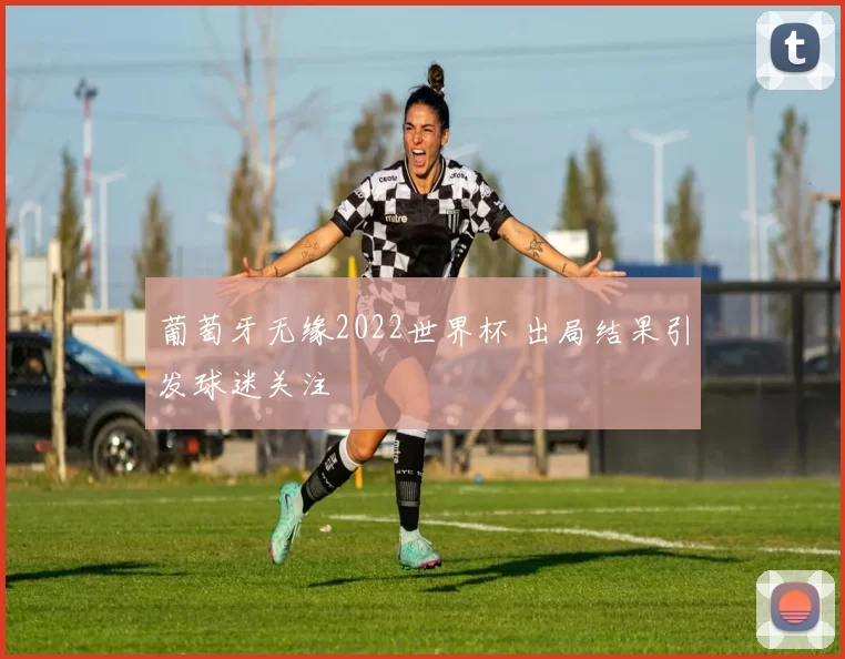 葡萄牙无缘2022世界杯 出局结果引发球迷关注