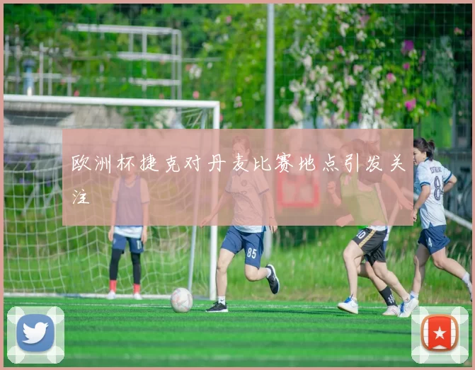 欧洲杯捷克对丹麦比赛地点引发关注