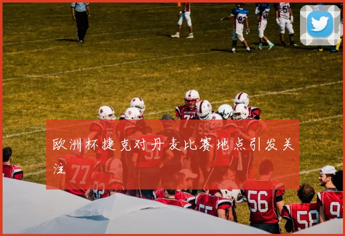 欧洲杯捷克对丹麦比赛地点引发关注