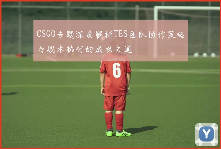 CSGO专题深度解析TES团队协作策略与战术执行的成功之道