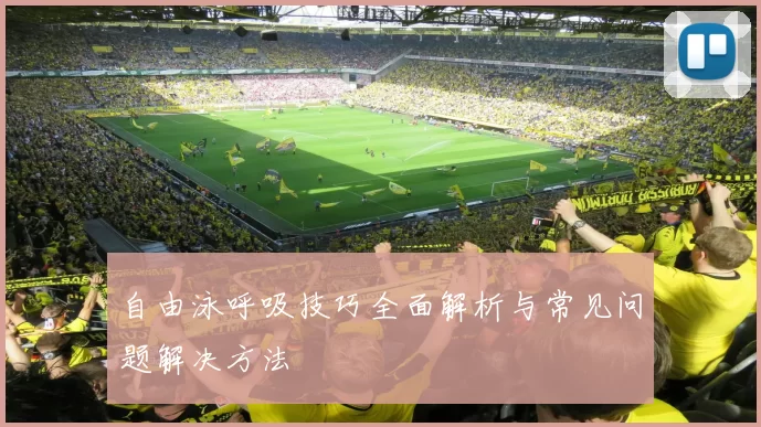 自由泳呼吸技巧全面解析与常见问题解决方法