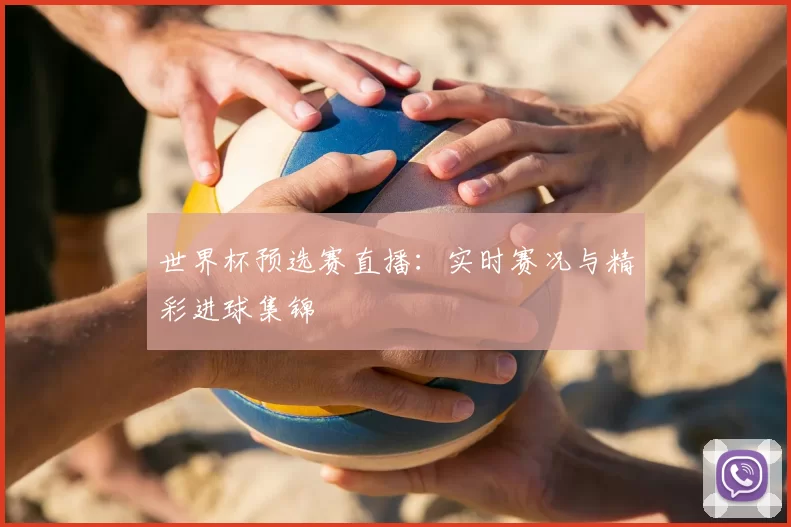世界杯预选赛直播:实时赛况与精彩进球集锦