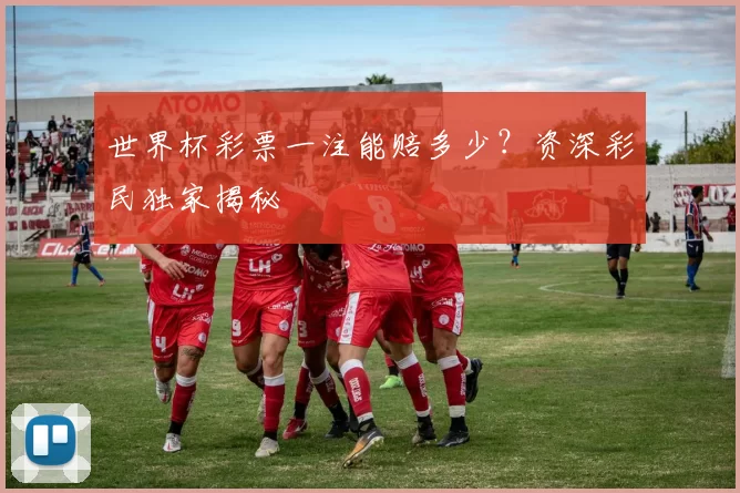 世界杯彩票一注能赔多少？资深彩民独家揭秘
