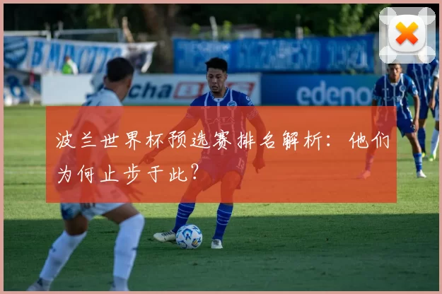 波兰世界杯预选赛排名解析:他们为何止步于此?