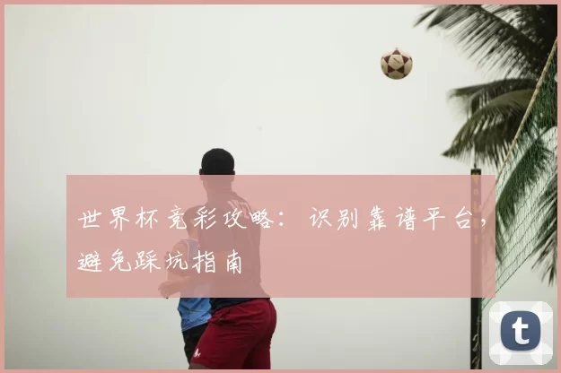世界杯竞彩攻略：识别靠谱平台，避免踩坑指南