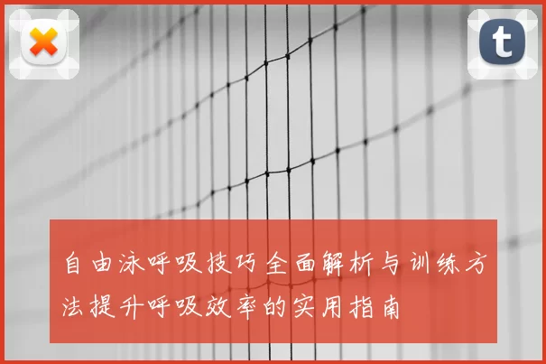 自由泳呼吸技巧全面解析与训练方法提升呼吸效率的实用指南