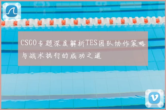 CSGO专题深度解析TES团队协作策略与战术执行的成功之道